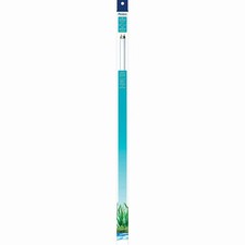 Aqueon T8 Fluorescent Lamp Replacements Daylight 24 Inches