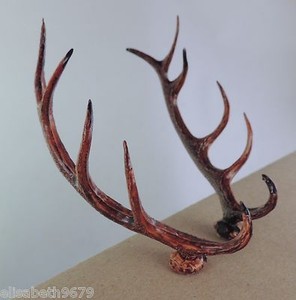 2 Cornes Bois De Cerf 10 Cm Pour Coucou Chasseur Tete De Cerf Ebay 2 Cornes Bois De Cerf 10 Cm Pour Coucou Chasseur Tete De Cerf Ebay