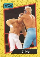 STING [1991 Impel WCW World Championship Wrestling / WWE ] EXCELLENT, Card #3