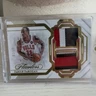 Panini Flawless DeMar DeRozan Bulls Dual Patches 7 /10 DPH-DEM 2022-23