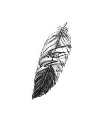 Eagle Feather Sticker Decal