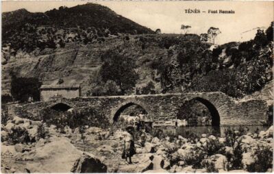Old postcard AK ALGERIA TENES Roman Bridge (1189850)