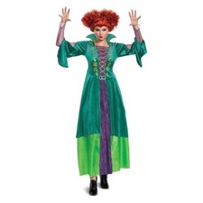 Disney Hocus Pocus Wini Deluxe Adult Costume Women s Size Large 12/14 New
