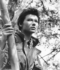 The Guns of Navarone Unsigned photo - Gia Scala - Donation to Charity *5