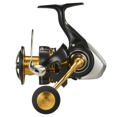 【ヒロ】 ダイワ　23レガリス　LT6000D-H s-l400.jpg
