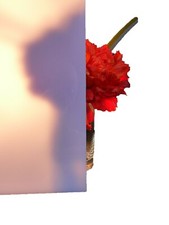 Płyta poliwęglanowa cięcie szkło mleczne (biały opal) 190 x 190 x 2 mm LD30%