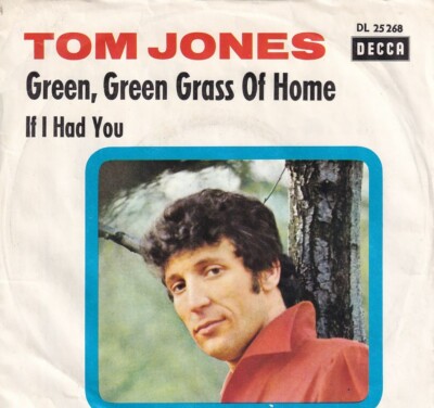7'' Single - Tom Jones - Green, green grass of home