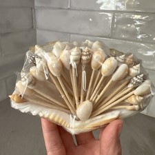 Vintage Sea Shell with Real Sea Shell Cocktail Picks / Hors d'oeuvres Picks Tiki