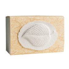 Earth Memorials The Favorite Place Burial Biodegradable Urn Large Leaf Urn