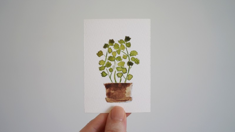 ACEO Print - Watercolor painting - Titled "Cilantro in Terracotta"