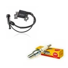 Ngk Spark Plug Ignition Coil For Honda EB5000X EB5000XK1 EB6500SX Generators