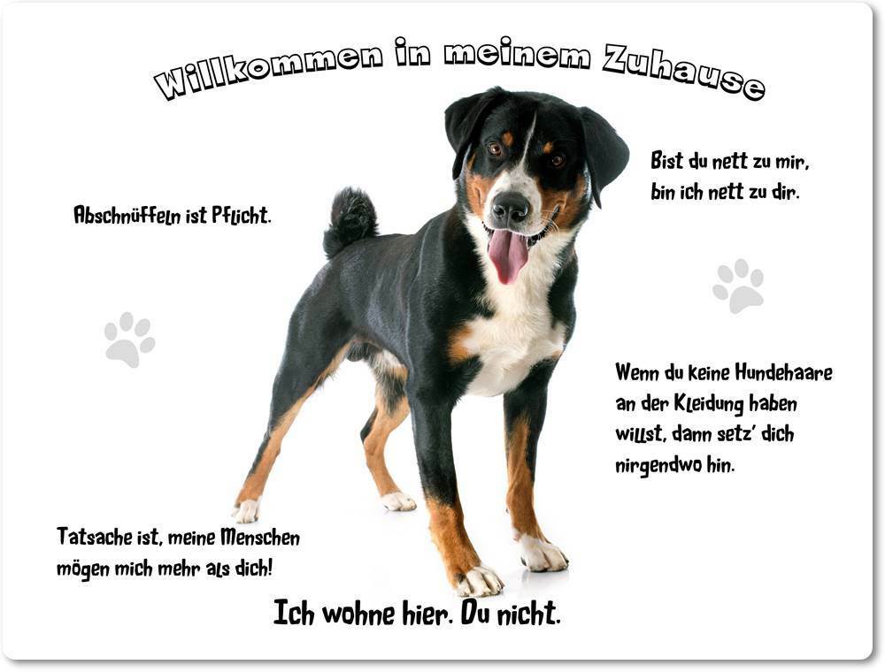 Nanyuk Appenzeller Sennenhund Warnschild – 30,5x20 Cm Aluminium, Mit Lochung, A4 Format