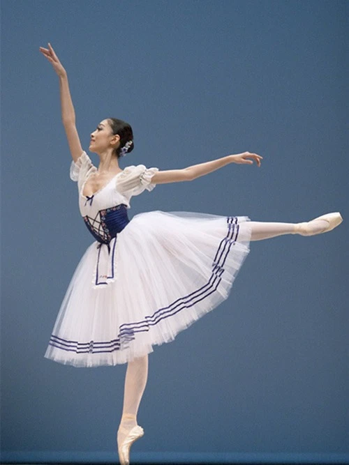 Adult Women Long Ballet Leotard Dress Professional Tutu Girls Ballet  Clothes | eBay