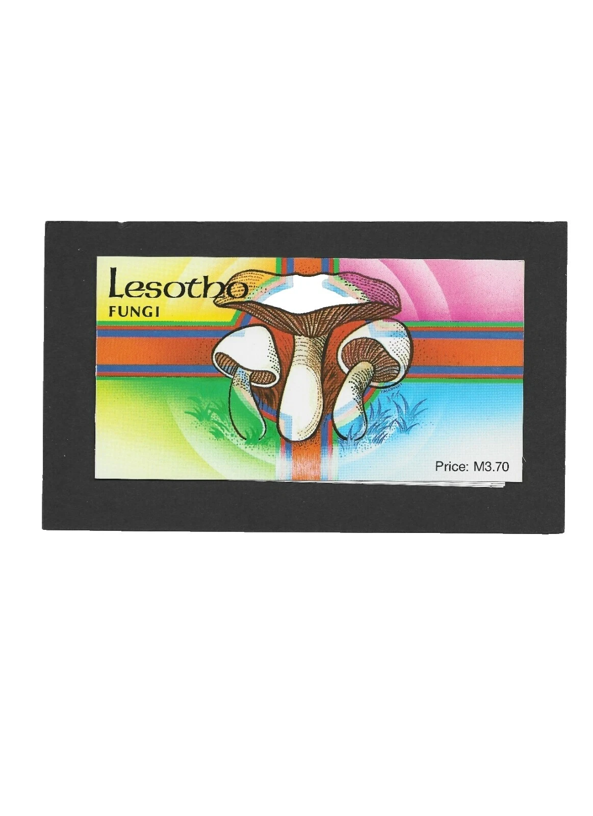 En excelente estado nunca abisagrado/estampillada sin montar o nunca montada Sellos de Folleto