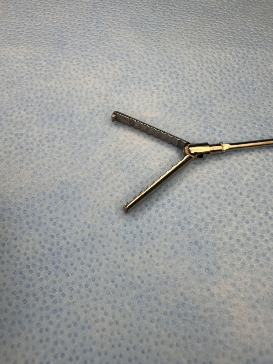 トウチ s-l1200.jpg