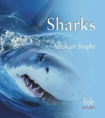 Sharks (Life) by Bright, Michael Paperback Book The Fast Free Shipping