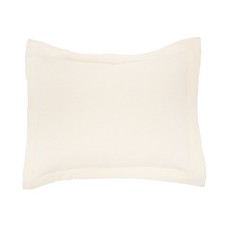 20" x 26" Delfina Ivory Cotton Standard Sham - Machine Washable