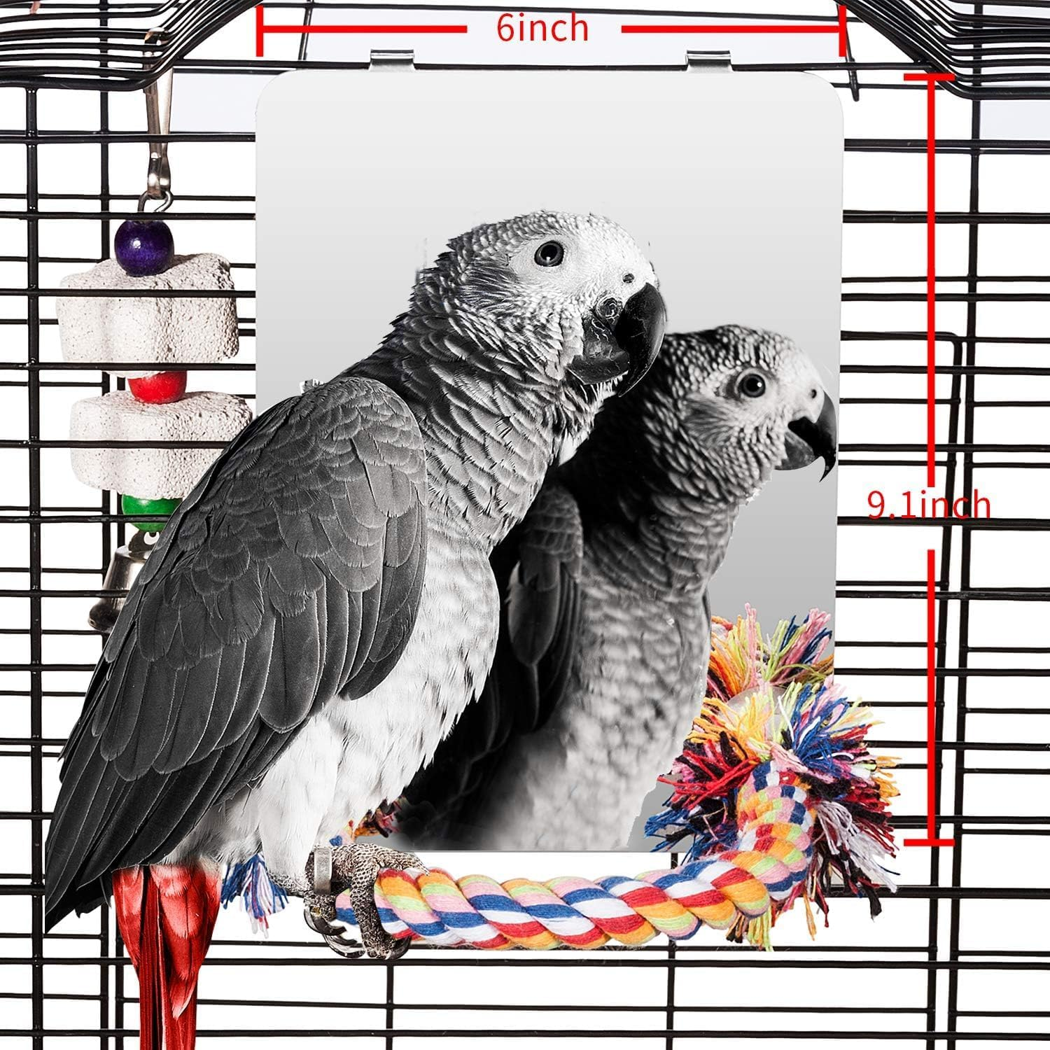 Colorday 9 Inch Stainless Steel Bird Mirror with Rope Perch, Bird Toys Swing, Co