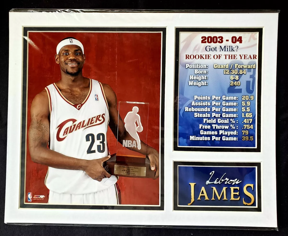 Nba rookie of the year outlet
