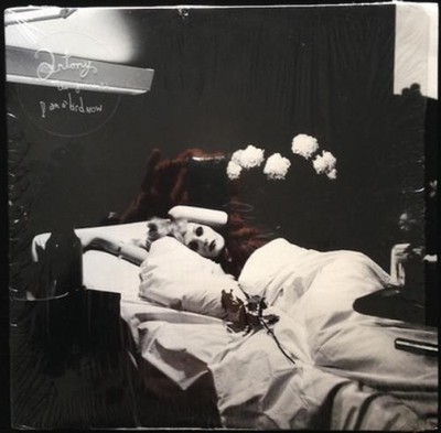Antony and the Johnsons I am a Bird Now (CD) Album