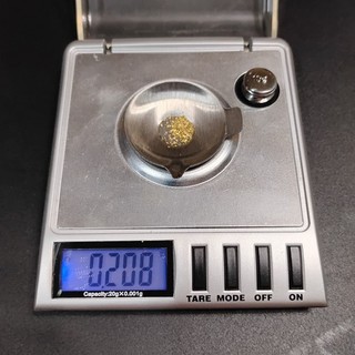 0.208 Gram Gold Nugget 1 Idaho 1/4 Goldback 1/4 Gold Nevada Nugget Sapphire