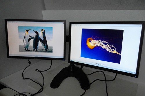 ACER 22" V223W V223WL V226WL Widescreen Dual Monitor VGA DVI 1680x1050 w/Stand - Picture 3 of 10