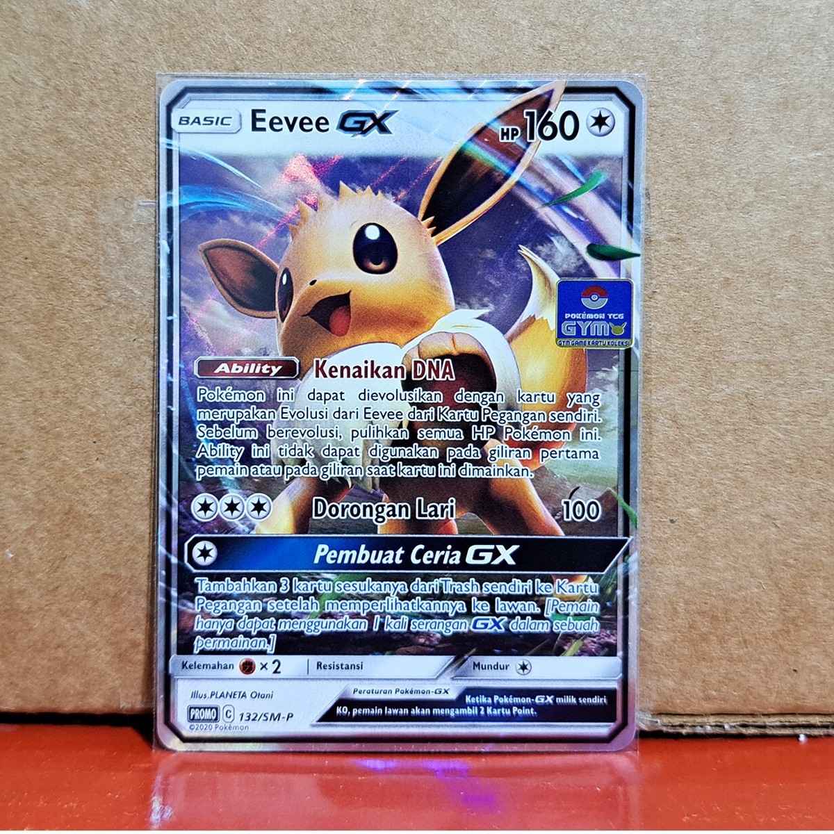 eevee gx pokemon card Pokémon POK80401 TCG: Eevee-GX Box : Amazon.nl: Toys & Games main image 1