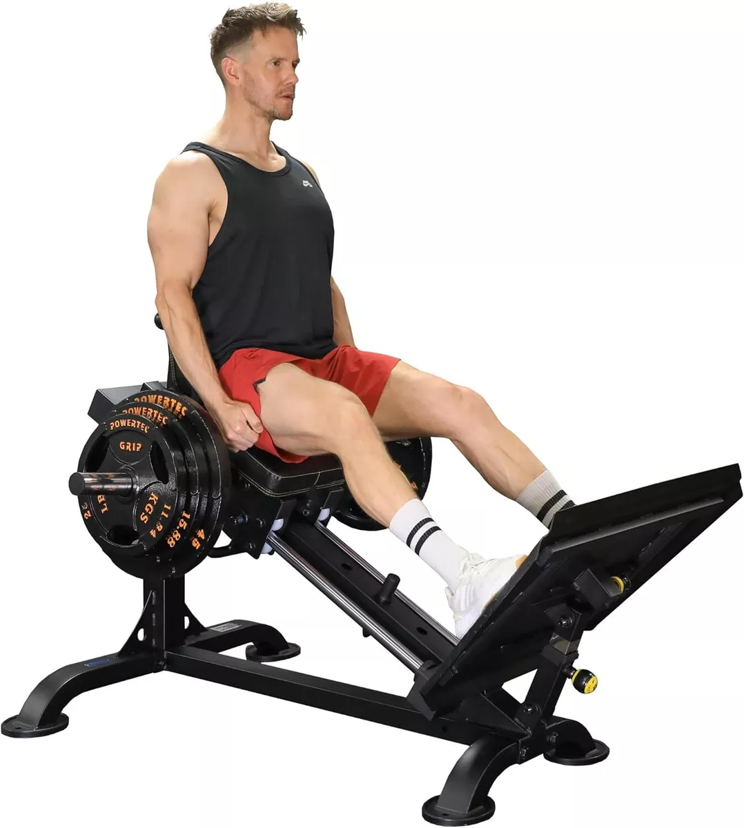 Sled leg press sale