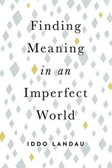 Finding Meaning in an Imperfect World von Landau, Iddo | Buch | Zustand gut