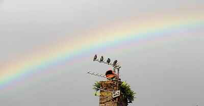 Photo 6x4 Four starlings and a rainbow A fleeting glimpse of an early eve c2021