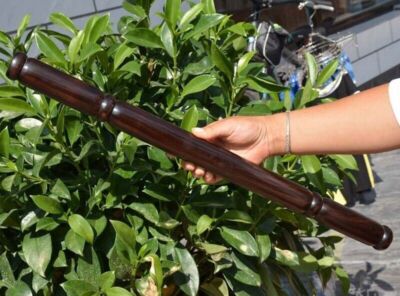 24'' Ebony Wood Tai Chi Wushu Ruler Stick Chinese Martial Arts Kung Fu Bang
