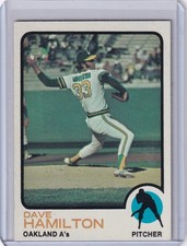 Click to enlarge Dave Hamilton