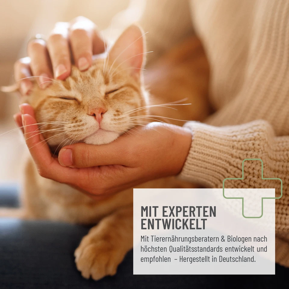 REAVET Katzenfutter Trocken 3kg mit Geflügel Rind & Lachsöl, Trockenfutter Katze - Bild 3 von 4