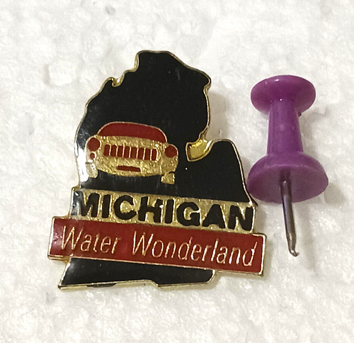 Michigan State Shaped Travel Pin