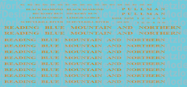 N Scale - Reading Northern Passenger Car Decals (RBMN/LGS)