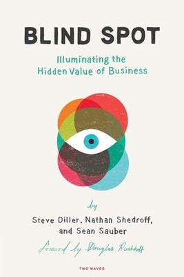 Blind Spot: Illuminating the Hidden Value in Business by Steve Diller (English) 