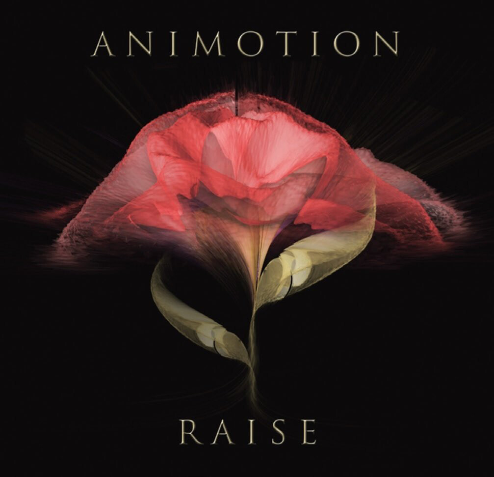 Animotion Raise Your Expectations (Vinyl LP) 12" Album