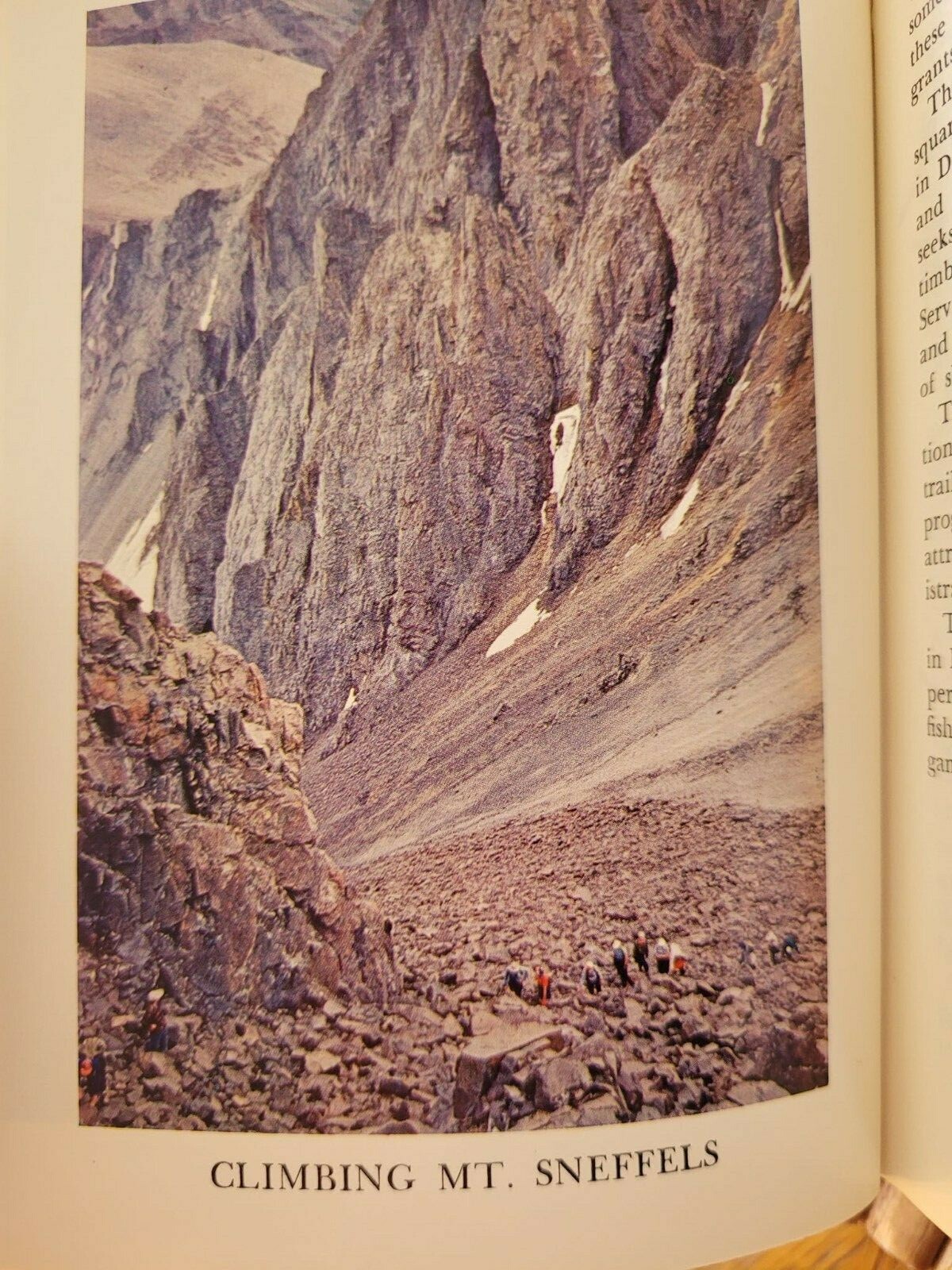 Picture 7 of 8