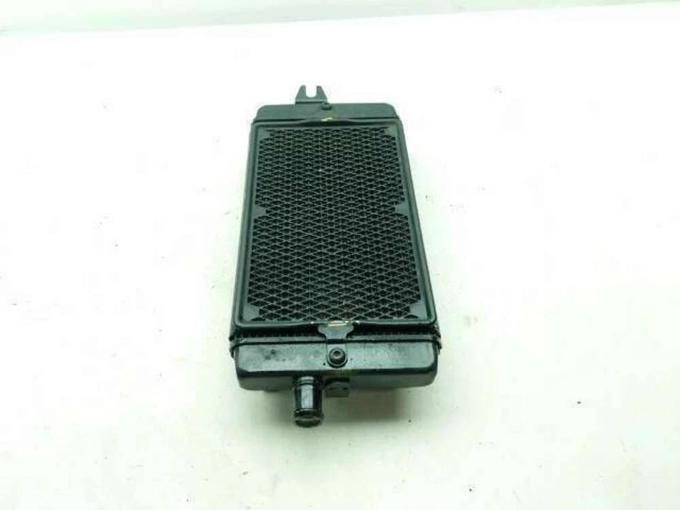16 Triumph Bonneville T120 Radiator B Foto 4 de 4