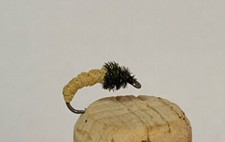  1 Dozen Chamois Caddis Nymph Fishing Flies