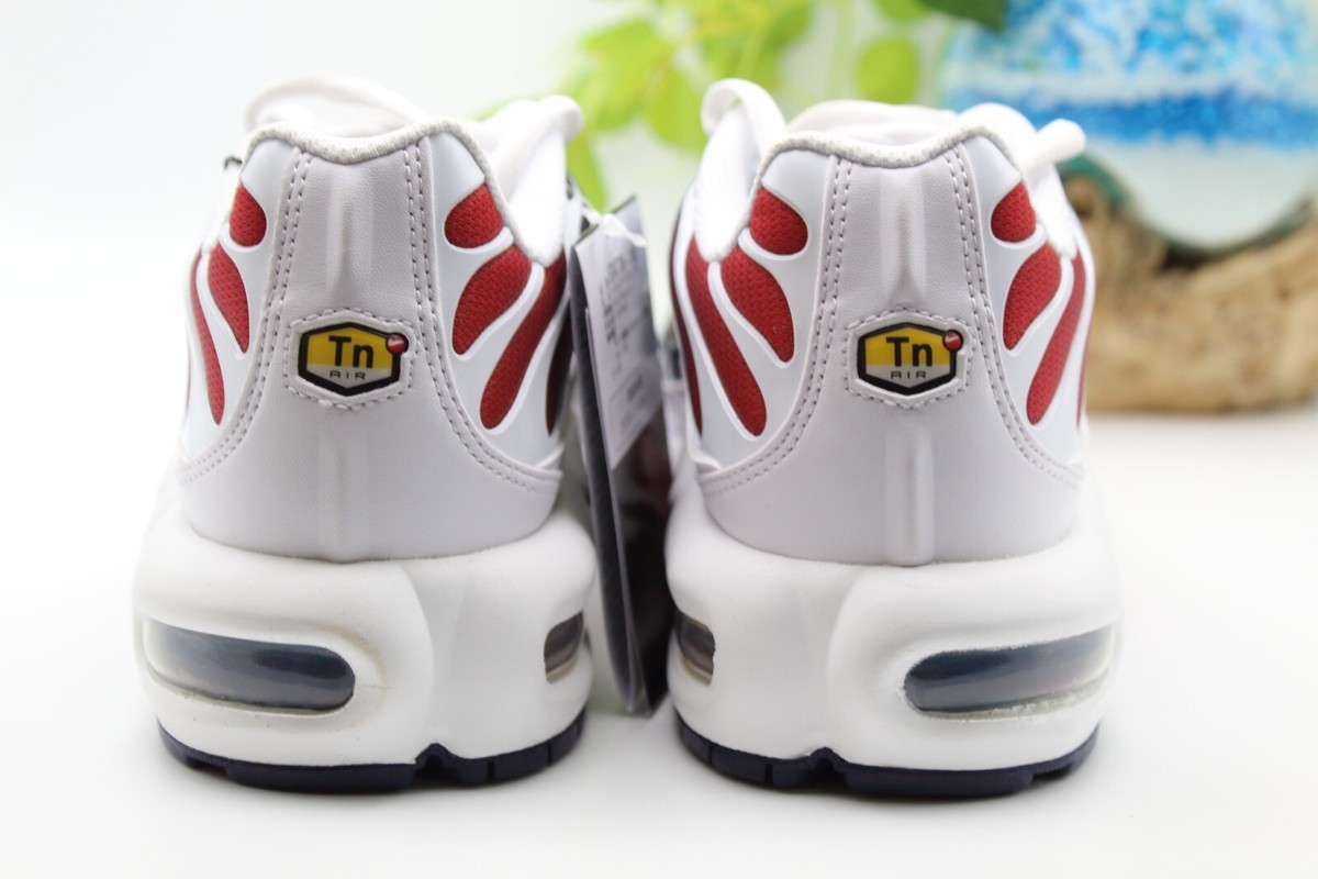 Nike Paris rai ライー 10 Size 10.5 - Paris Saint-Germain x Nike Air Max Plus Home Kit for