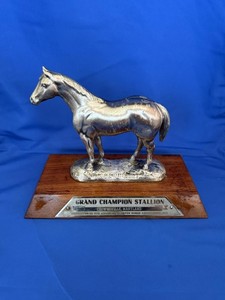 Vintage Grand Champion Stallion Quarter Horse Association AQHA Trophy 1976