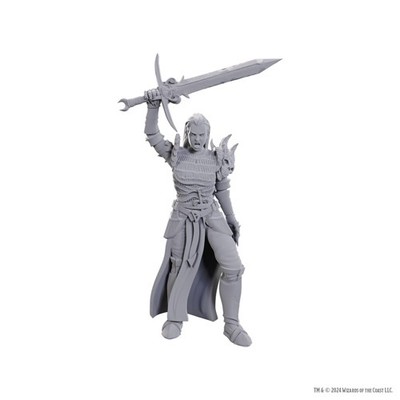 Blackguard: D&D Nolzur's Marvelous Unpainted Miniatures (W25) - Neu & Sealed