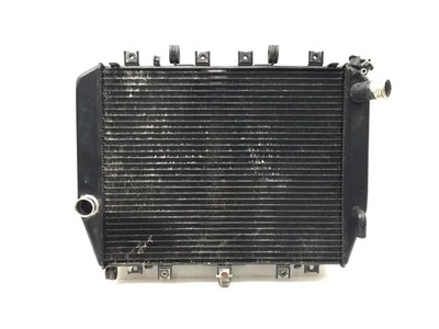 Engine Radiator Cooling 2002 Kawasaki Ninja ZX12R ZX1200B 3265 x