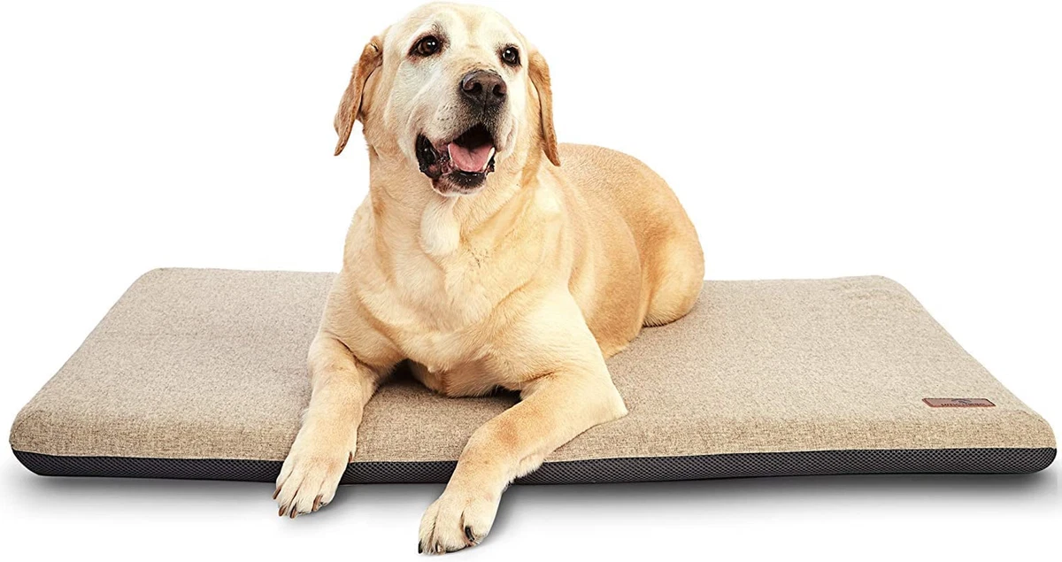 Dog bed for hotsell 42 inch crate