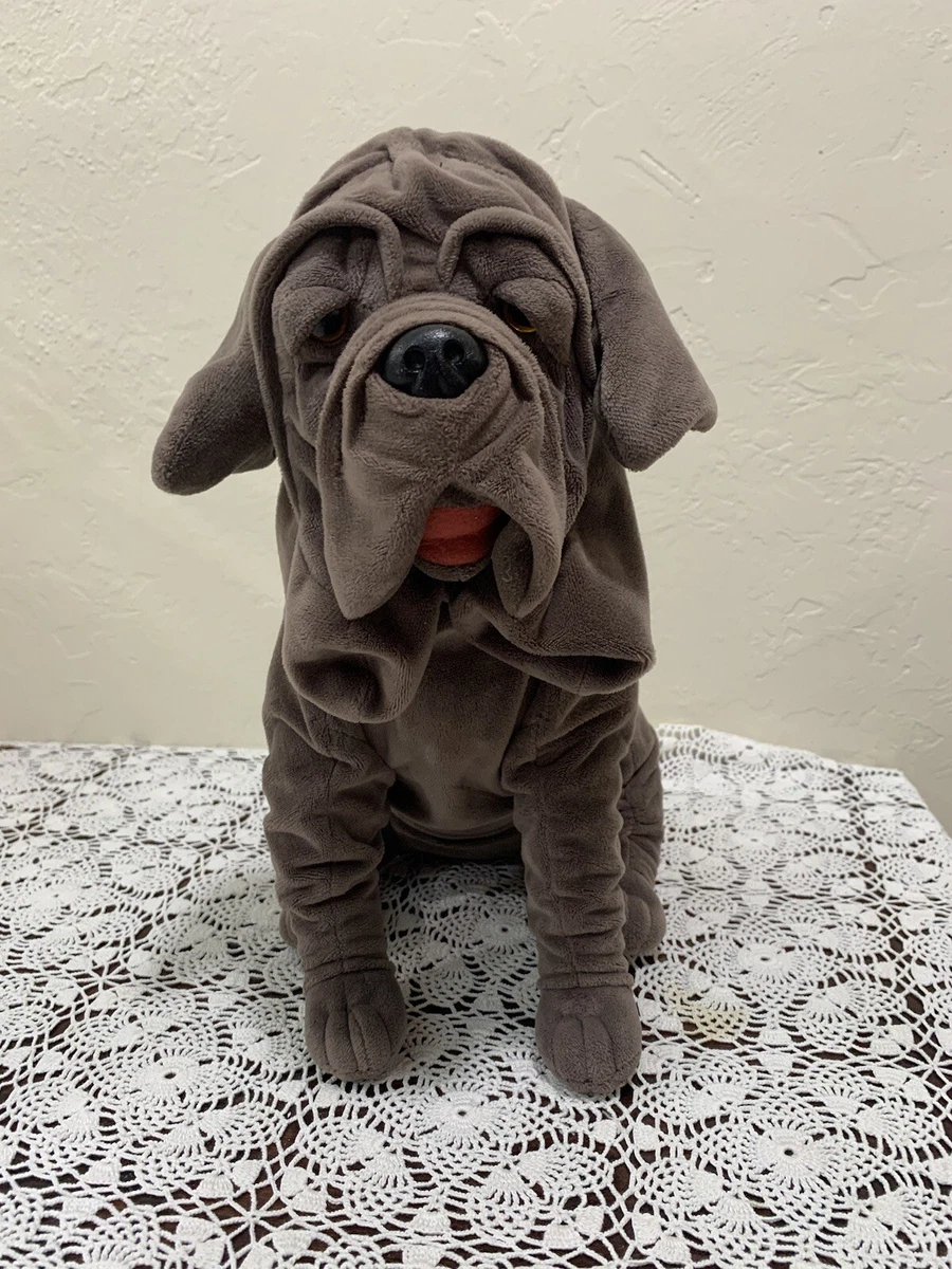 Hagrid's dog 2024