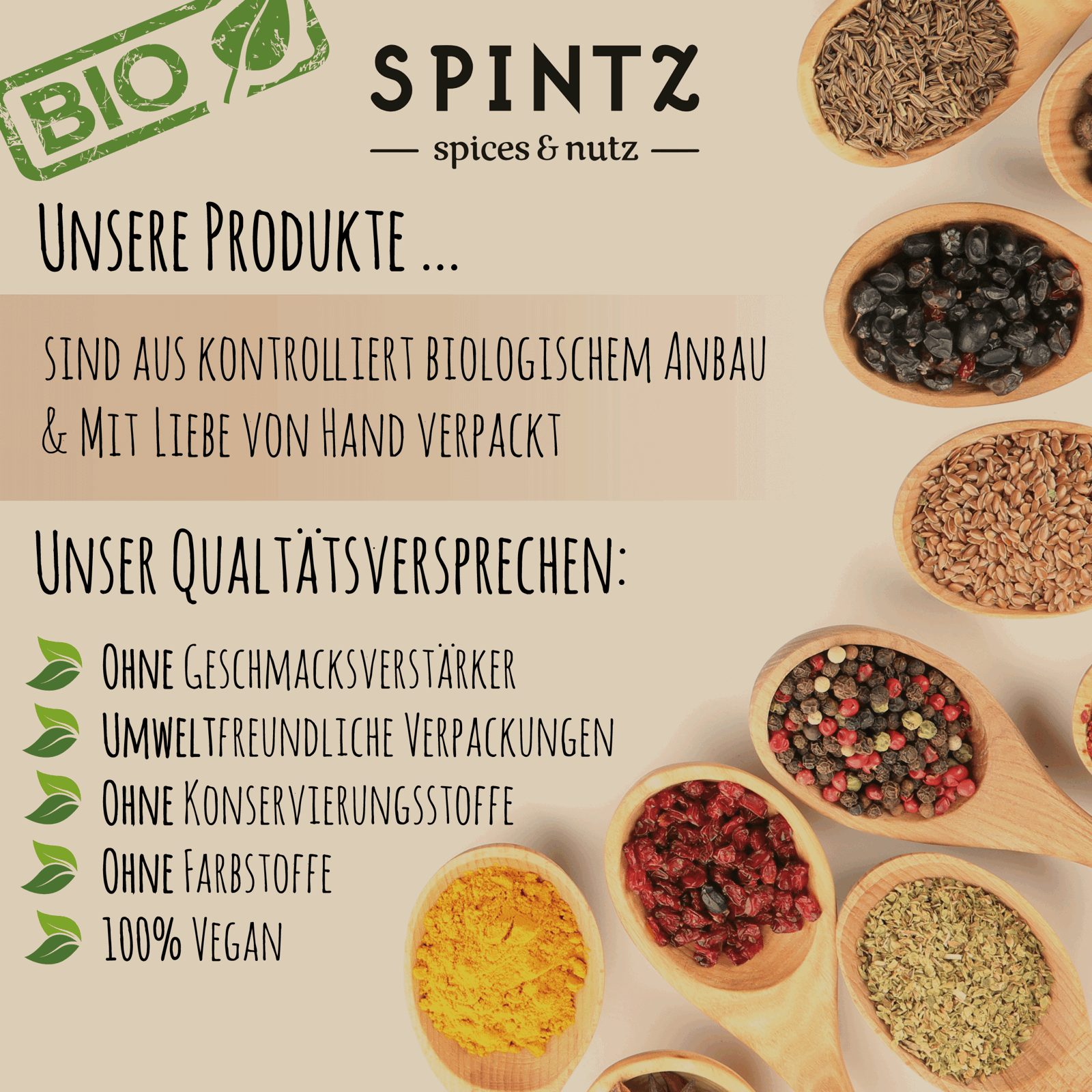 Bild 5 von 8