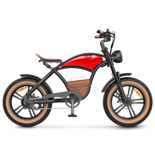 Hidoes B10 20" Fat Tire E-Bike E-Mountain Bike 100OW motor 48V 13Ah battery - Picture 19 of 23