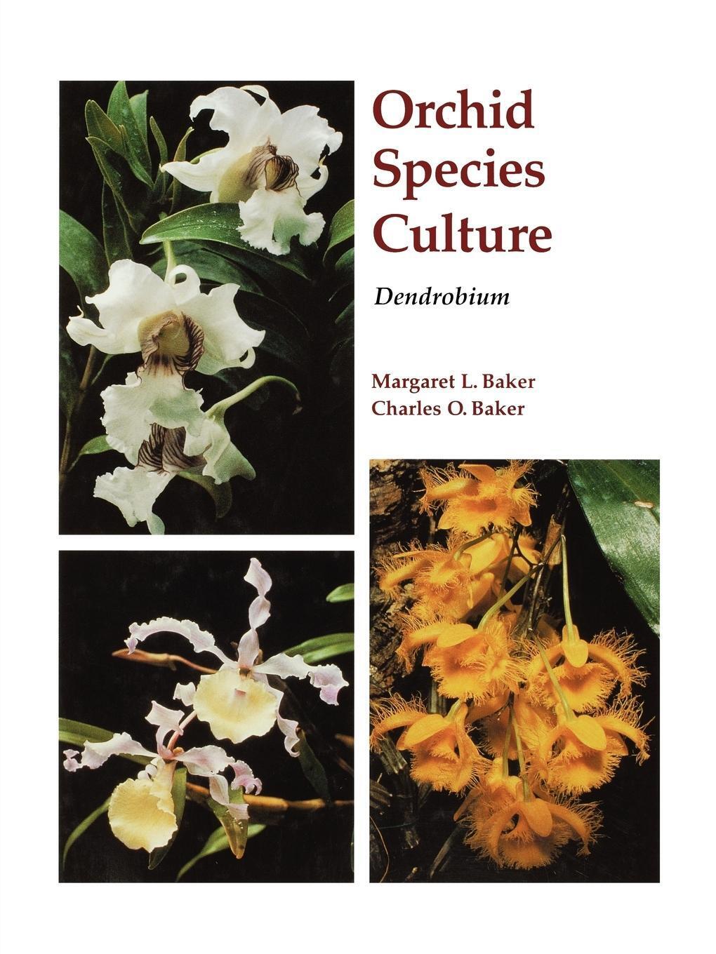 Thumbnail - Dendrobium | Margaret Baker | Taschenbuch | Paperback | Kartoniert /