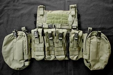 Crye AVS Chest Rig - Ranger Green